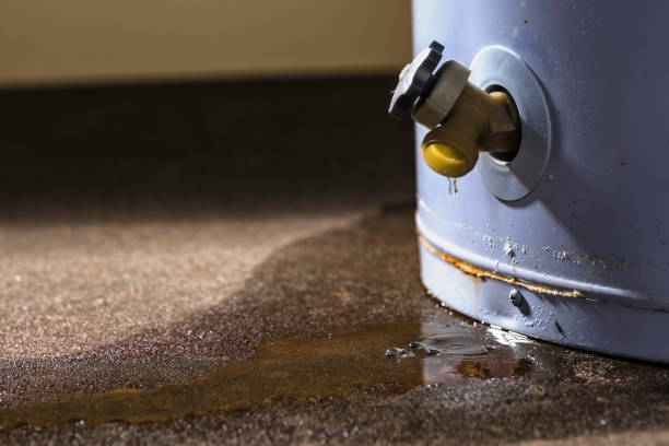 Best Sewage cleanup and water damage restoration  in Kenmar, PA