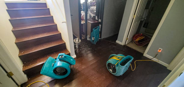 Best Local water damage restoration  in Kenmar, PA