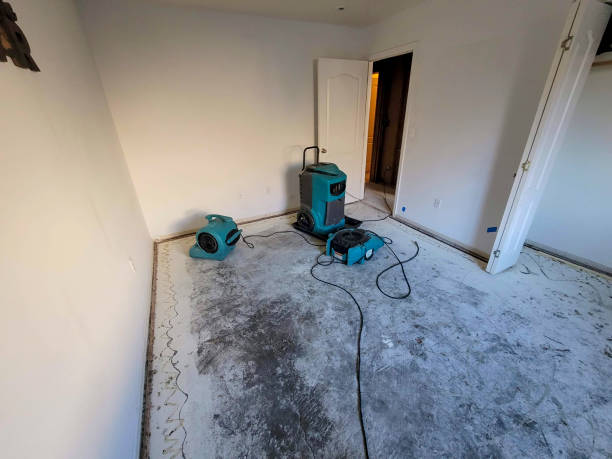 Best Ceiling water damage repair  in Kenmar, PA