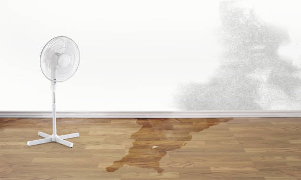 Best Flood damage cleanup  in Kenmar, PA