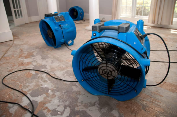 Best Water damage restoration near me  in Kenmar, PA