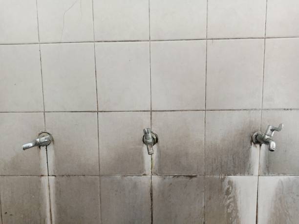 Best Professional water damage repair  in Kenmar, PA