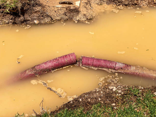 Best Water damage restoration near me  in Kenmar, PA